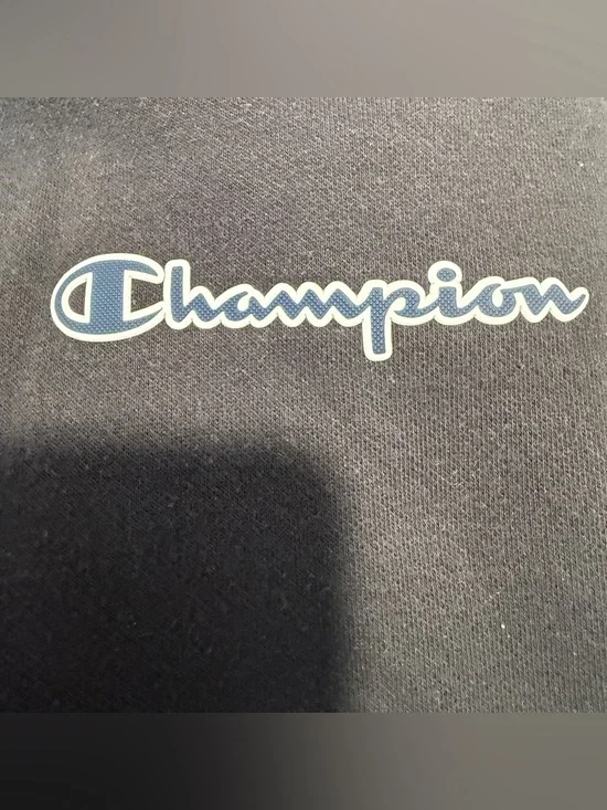 Champion Script Logo Hoodie Men’s Large Black Streetwear Essential Y2K - Picture 10 of 11